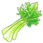 セロリの美味しいたべかたとは